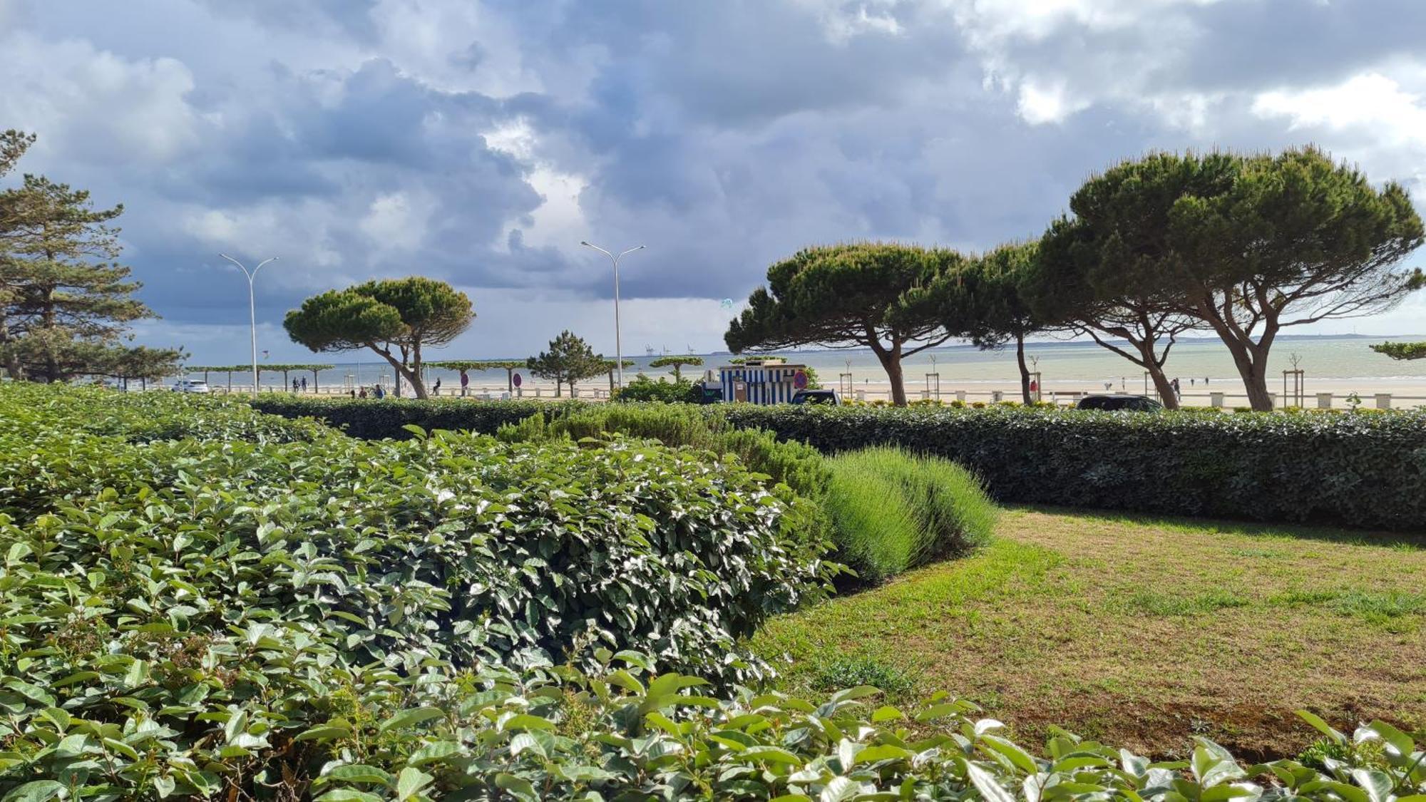 Saint Georges De Didonne - Vue Mer Pour Ce Studio Cosy En Rez-De-Chaussee エクステリア 写真